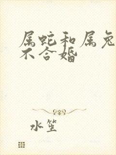 属蛇和属兔的合不合婚