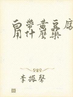 白带黄豆腐渣状用什么药