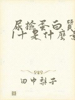 尿检蛋白质阳性1十是什么意思