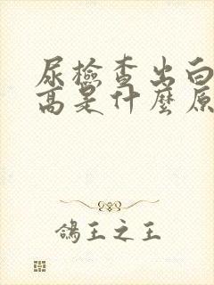 尿检查出白细胞高是什么原因