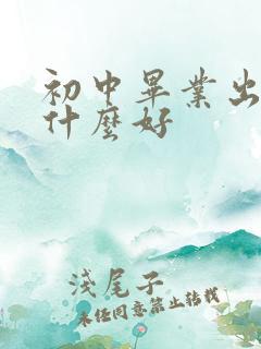 初中毕业出来学什么好