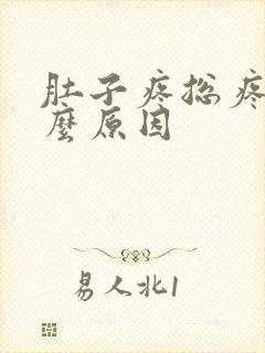 肚子疼总疼是什么原因