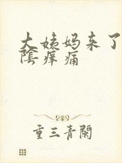 大姨妈来了 外阴痒痛