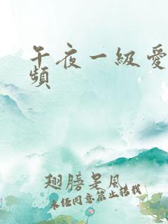 午夜一级爱爱视频