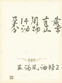 孕14周有黄色分泌物正常吗