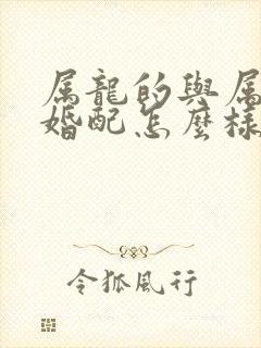 属龙的与属猪的婚配怎么样