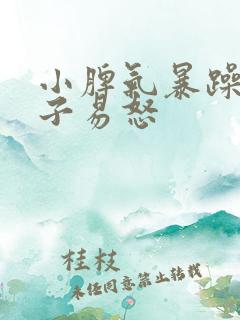 小脾气暴躁的孩子易怒