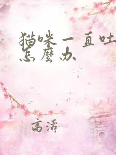 猫咪一直吐黄水怎么办