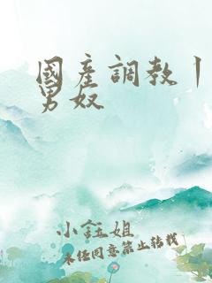 国产调教丨vk男奴