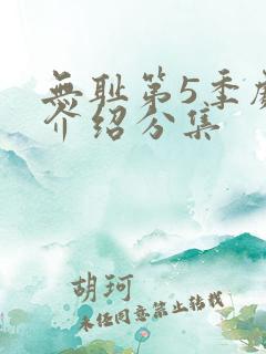 无耻第5季剧情介绍分集