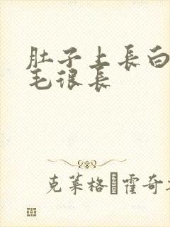 肚子上长白色的毛很长