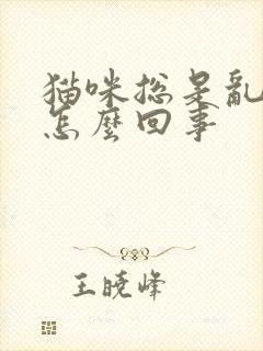 猫咪总是乱尿是怎么回事