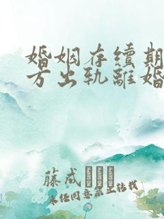 婚姻存续期间男方出轨离婚财产如何分配