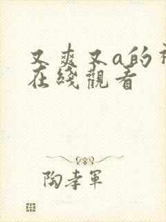 又爽又a的视频在线观看