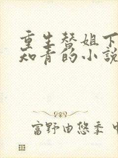 重生替姐下乡当知青的小说