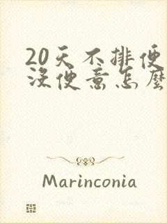 20天不排便又没便意怎么回事