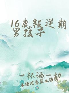 16岁叛逆期的男孩子