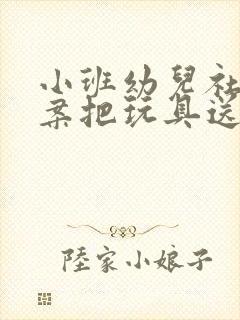 小班幼儿社会教案把玩具送回家