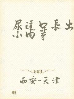 尿道口长出白色小肉芽