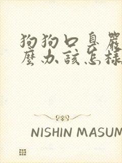 狗狗口臭严重怎么办该怎样消除