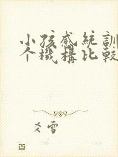 小孩感统训练哪个机构比较好