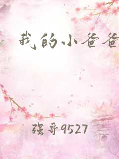 我的小爸爸同学