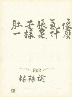 肚子胀气像怀孕一样是什么原因