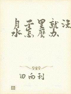 月子里就没有奶水怎么办