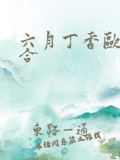 六月丁香欧美综合