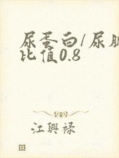 尿蛋白/尿肌酐比值0.8