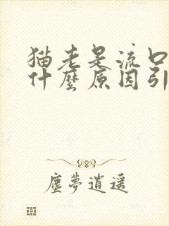 猫老是流口水是什么原因引起的