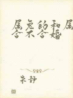 属兔的和属猪的合不合婚