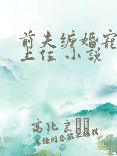前夫缠婚宠妻快上位 小说