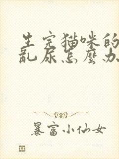 生完猫咪的母猫乱尿怎么办