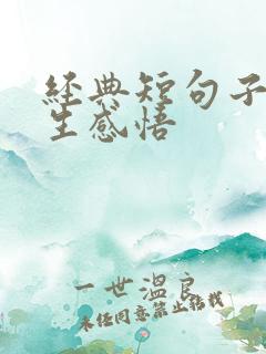 经典短句子 人生感悟