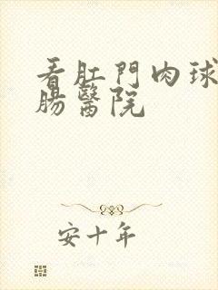 看肛门肉球的肛肠医院