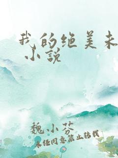 我的绝美未婚妻 小说