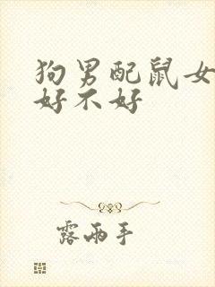 狗男配鼠女婚姻好不好
