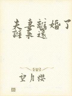 夫妻离婚了贷款谁来还