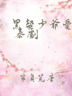 黑帮少爷爱上我 泰剧