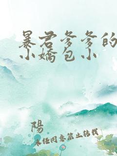 暴君爹爹的团宠小娇包小