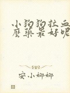 小狗狗拉血吃什么药最好呢