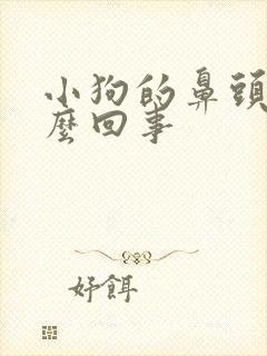 小狗的鼻头干怎么回事