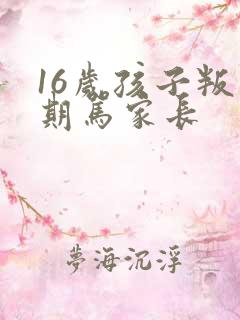 16岁孩子叛逆期骂家长