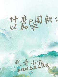 什么p图软件可以加字