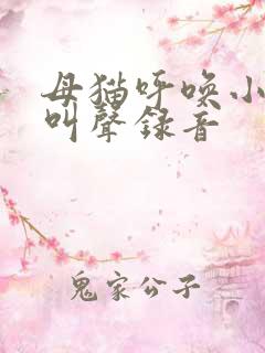 母猫呼唤小猫的叫声录音