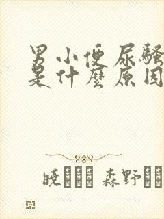 男小便尿骚味重是什么原因