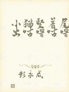 小猫竖着尾巴发出咕噜咕噜的声音