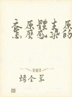 衣原体支原体是怎么感染的