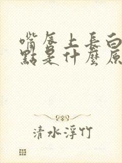 嘴唇上长白色斑点是什么原因导致的